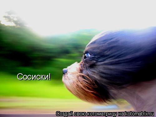 Сосиски!... Котоматрица: Сосиски!