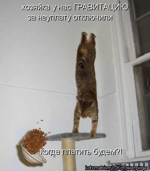 хозяйка у нас ГРАВИТАЦИЮ за неуплату отключили когда платить будем?!... Котоматрица: хозяйка у нас ГРАВИТАЦИЮ за неуплату отключили когда платить будем?!