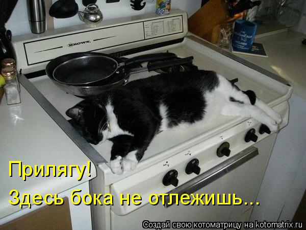 Прилягу! Здесь бока не отлежишь...... Котоматрица: Прилягу! Здесь бока не отлежишь...