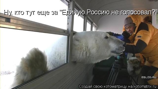 Ну, кто тут еще за "Единую Россию не голосовал?!!... Котоматрица: Ну, кто тут еще за "Единую Россию не голосовал?!!