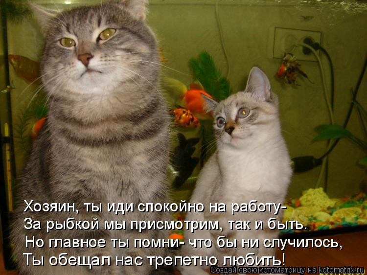 Ты обещал нас трепетно любить! Но главное ты помни- что бы ни случилось, За рыбкой мы присмотрим, так... Котоматрица: Ты обещал нас трепетно любить! Но главное ты помни- что бы ни случилось, За рыбкой мы присмотрим, так и быть. Хозяин, ты иди спокойно на работу