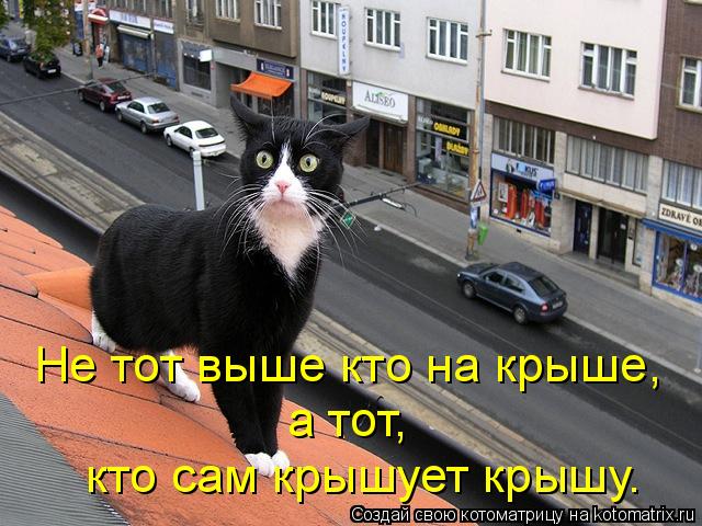 Не тот выше кто на крыше, а тот, кто сам крышует крышу.... Котоматрица: Не тот выше кто на крыше, а тот, кто сам крышует крышу.