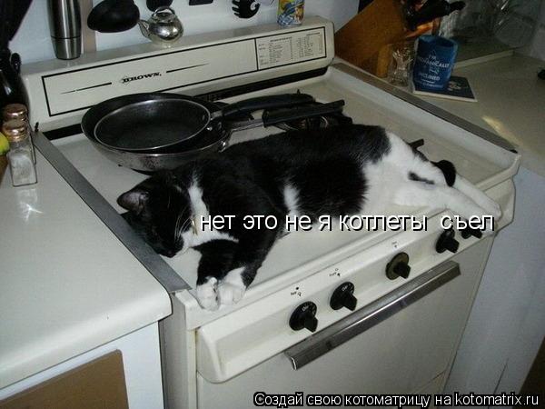 нет это не я котлеты съел... Котоматрица: нет это не я котлеты съел