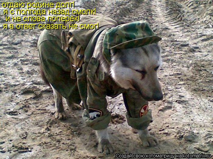 отдаю родине долг! я с полгода назад смолк! и не слова поперёк! я в ответ сказать не смог!... Котоматрица: отдаю родине долг! я с полгода назад смолк! и не слова поперёк! я в ответ сказать не смог!