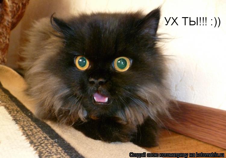 УХ ТЫ!!! :))... Котоматрица: УХ ТЫ!!! :))