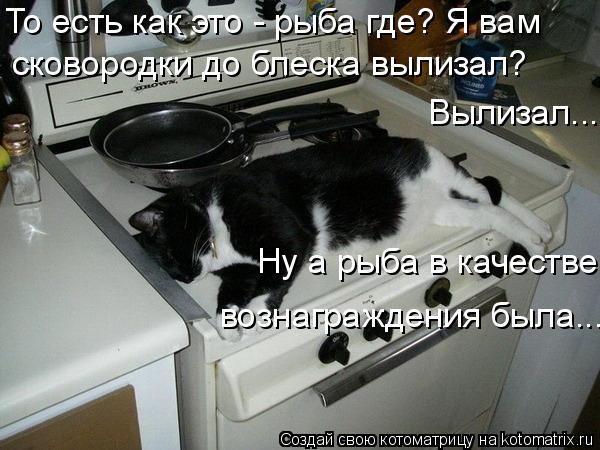 То есть как это - рыба где? Я вам Ну а рыба в качестве вознаграждения была... сковородки до блеска ... Котоматрица: То есть как это - рыба где? Я вам Ну а рыба в качестве вознаграждения была... сковородки до блеска вылизал? Вылизал...