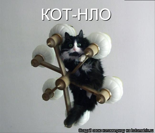 КОТ-НЛО... Котоматрица: КОТ-НЛО