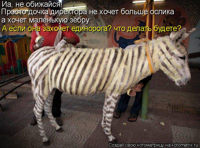 Иа, не обижайся! Просто дочка директора не хочет больше ослика а хочет маленькую зебру А если она зах... Котоматрица: Иа, не обижайся! Просто дочка директора не хочет больше ослика а хочет маленькую зебру А если она захочет единорога? что делать будете?