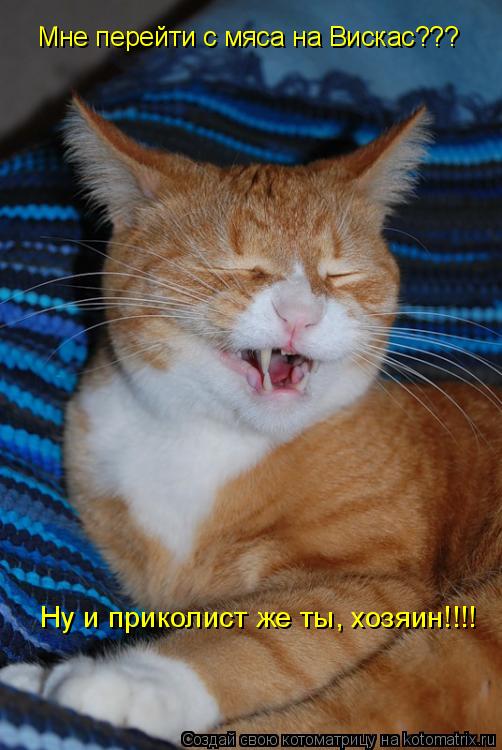 Мне перейти с мяса на Вискас??? Ну и приколист же ты, хозяин!!!!... Котоматрица: Мне перейти с мяса на Вискас??? Ну и приколист же ты, хозяин!!!!