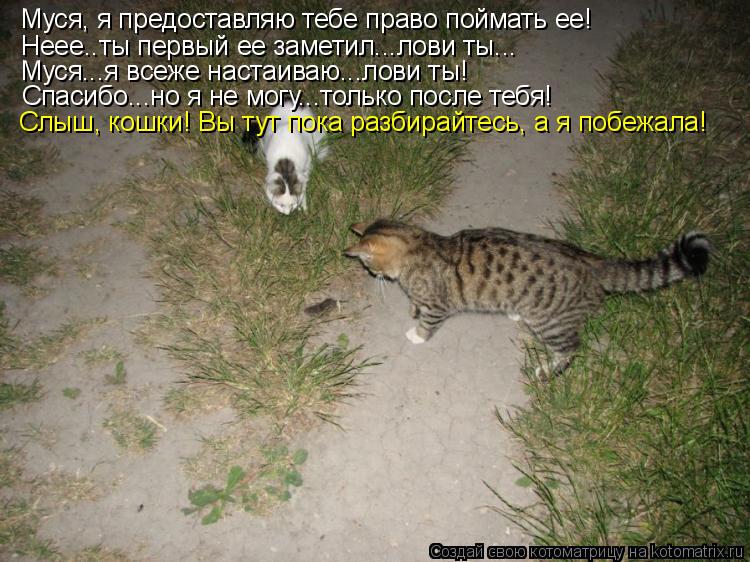 Муся, я предоставляю тебе право поймать ее! Неее..ты первый ее заметил...лови ты... Муся...я всеже на... Котоматрица: Муся, я предоставляю тебе право поймать ее! Неее..ты первый ее заметил...лови ты... Муся...я всеже настаиваю...лови ты! Спасибо...но я не могу...тол