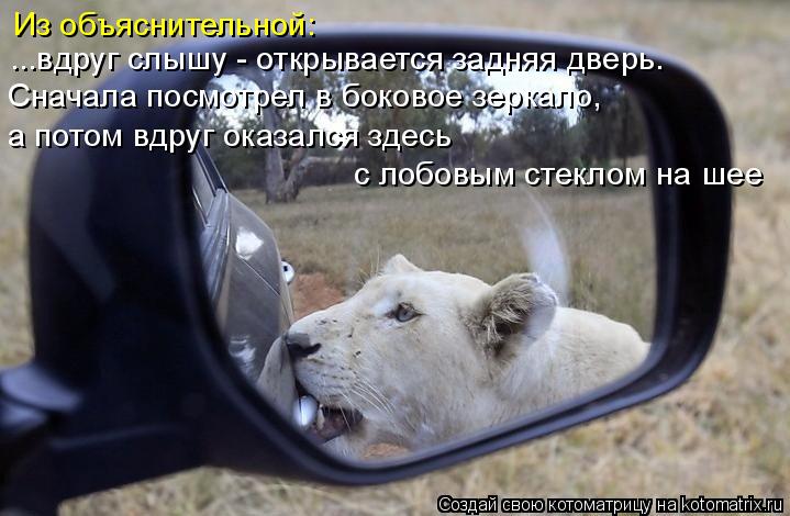 Из объяснительной: а потом вдруг оказался здесь с лобовым стеклом на шее ...вдруг слышу - открывается... Котоматрица: Из объяснительной: а потом вдруг оказался здесь с лобовым стеклом на шее ...вдруг слышу - открывается задняя дверь. Сначала посмотрел в боков