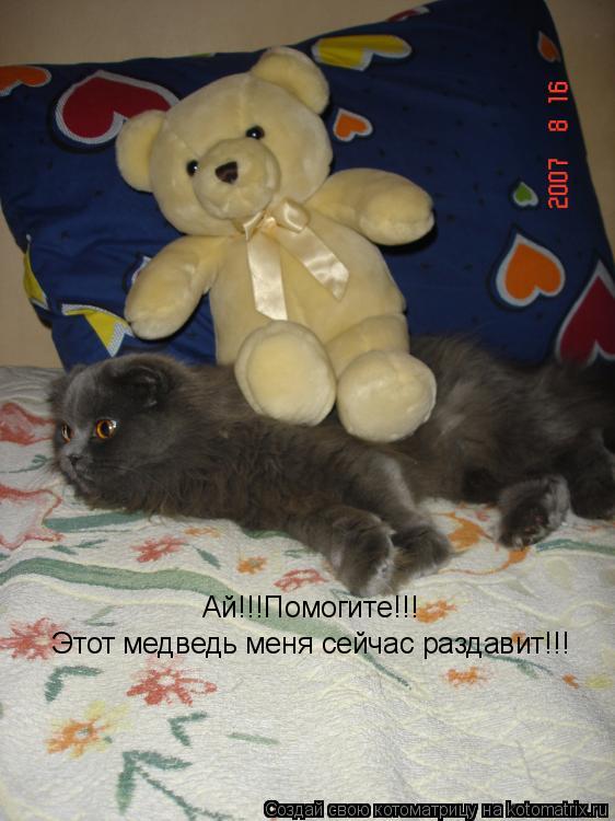 Котоматрица: Ай!!!Помогите!!! Этот медведь меня сейчас раздавит!!!