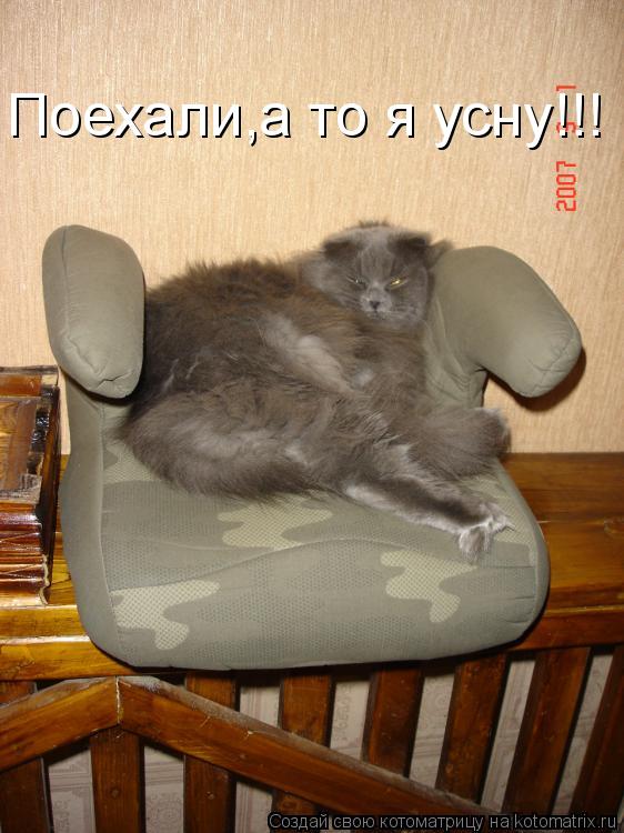 Котоматрица: Поехали,а то я усну!!!