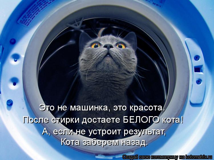 Котоматрица: Это не машинка, это красота. После стирки достаете БЕЛОГО кота! А, если не устроит результат, Кота заберем назад.
