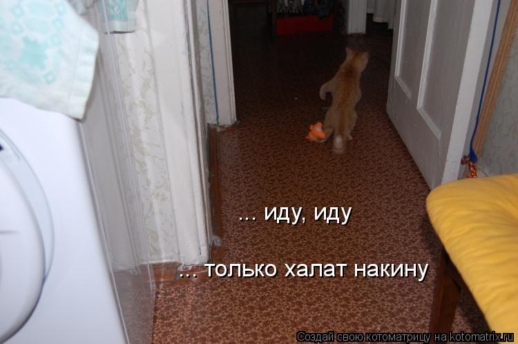 Котоматрица: ... иду, иду    ... только халат накину