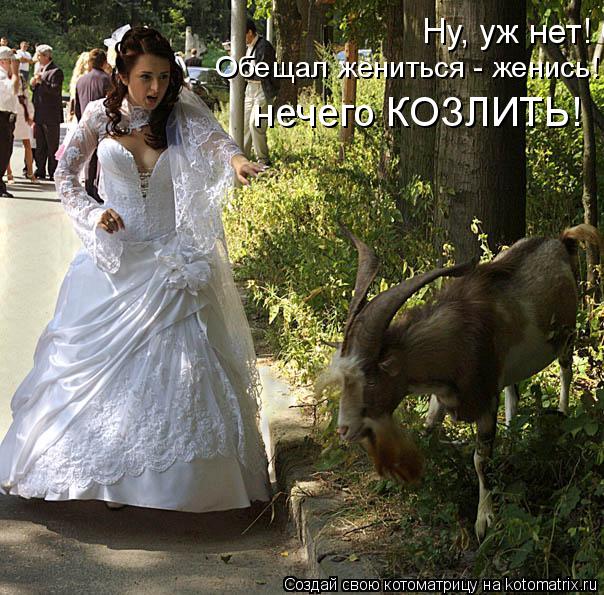 Ну, уж нет! Обещал жениться - женись! нечего КОЗЛИТЬ! Обещал жениться - женись! нечего КОЗЛИТЬ!... Котоматрица: Ну, уж нет! Обещал жениться - женись! нечего КОЗЛИТЬ! Обещал жениться - женись! нечего КОЗЛИТЬ!