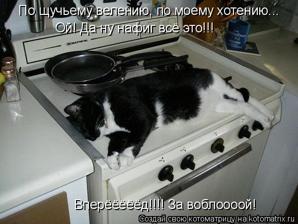 По щучьему велению, по моему хотению... Ой! Да ну нафиг всё это!!! Вперёёёёёд!!!! За воблоооой!... Котоматрица: По щучьему велению, по моему хотению... Ой! Да ну нафиг всё это!!! Вперёёёёёд!!!! За воблоооой!