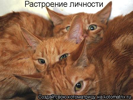 Растроение личности... Котоматрица: Растроение личности