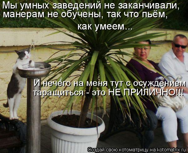Мы умных заведений не заканчивали, манерам не обучены, так что пьём, как умеем... И нечего на меня т... Котоматрица: Мы умных заведений не заканчивали, манерам не обучены, так что пьём, как умеем... И нечего на меня тут с осуждением таращиться - это НЕ ПРИЛИЧ