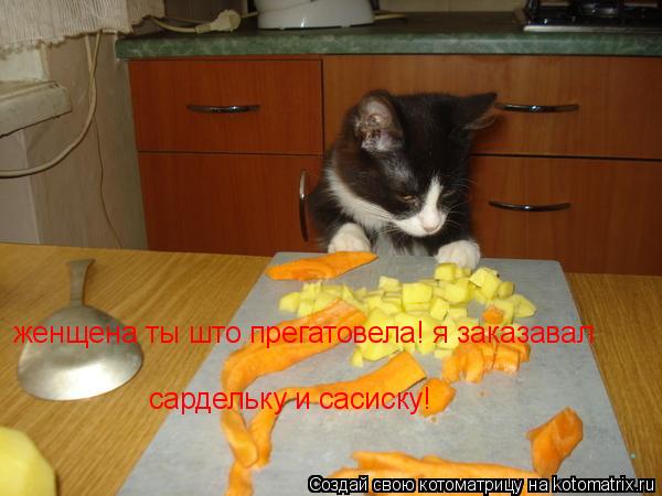 Котоматрица: женщена ты што прегатовела! я заказавал  сардельку и сасиску!