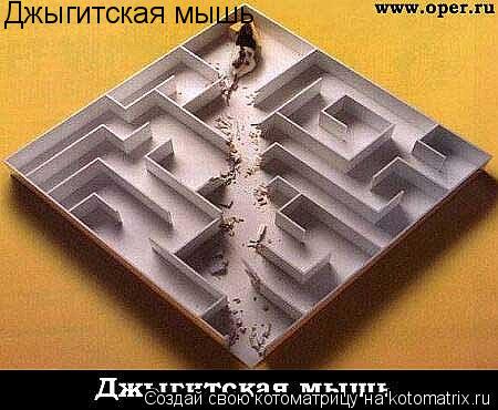 Котоматрица: Джыгитская мышь