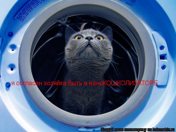 я согласен хозяйка быть в наноКОШКОЛИЗАТОРЕ... Котоматрица: я согласен хозяйка быть в наноКОШКОЛИЗАТОРЕ