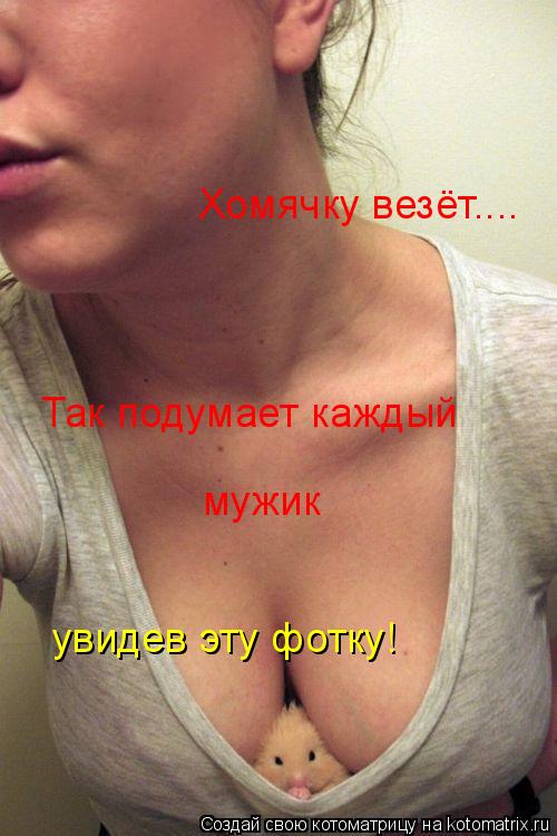 Хомячку везёт.... Так подумает каждый мужик увидев эту фотку!... Котоматрица: Хомячку везёт.... Так подумает каждый мужик увидев эту фотку!