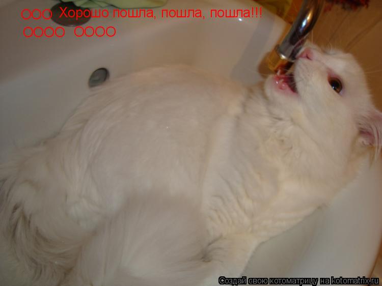 ООО Хорошо пошла, пошла, пошла!!! ОООО ОООО... Котоматрица: ООО Хорошо пошла, пошла, пошла!!! ОООО ОООО