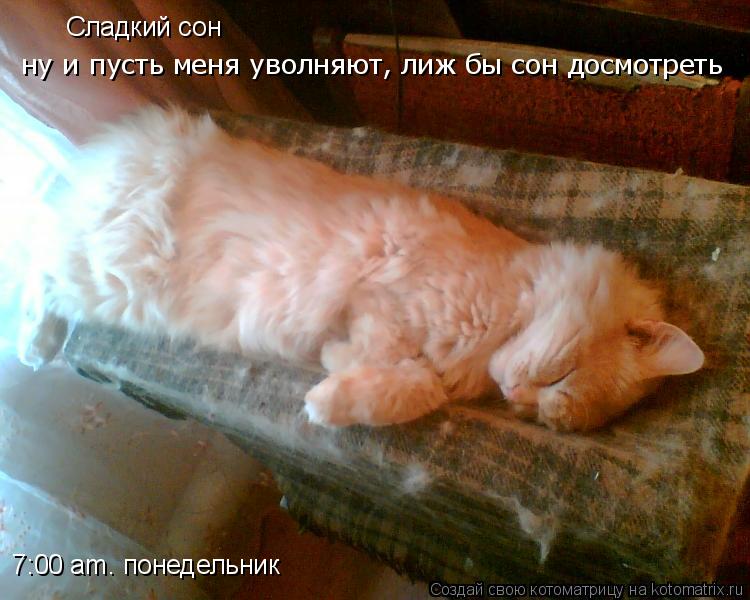 7:00 аm. понедельник Сладкий сон ну и пусть меня уволняют, лиж бы сон досмотреть... Котоматрица: 7:00 аm. понедельник Сладкий сон ну и пусть меня уволняют, лиж бы сон досмотреть