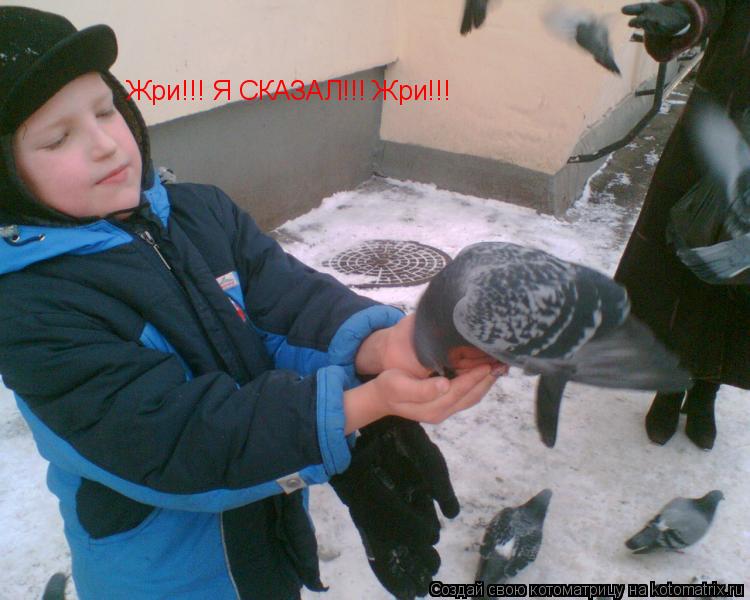 Жри!!! Я СКАЗАЛ!!! Жри!!!... Котоматрица: Жри!!! Я СКАЗАЛ!!! Жри!!!