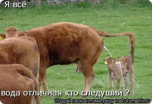 Я всё вода отличная кто следуший ?... Котоматрица: Я всё вода отличная кто следуший ?