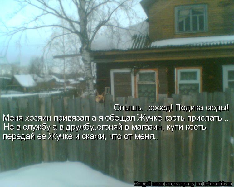 Слышь...сосед! Подика сюды! Меня хозяин привязал а я обещал Жучке кость прислать... Не в службу а в д... Котоматрица: Слышь...сосед! Подика сюды! Меня хозяин привязал а я обещал Жучке кость прислать... Не в службу а в дружбу..сгоняй в магазин, купи кость передай