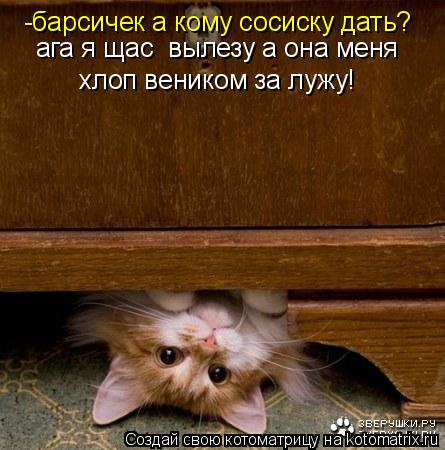 -барсичек а кому сосиску дать? ага я щас вылезу а она меня хлоп веником за лужу!... Котоматрица: -барсичек а кому сосиску дать? ага я щас вылезу а она меня хлоп веником за лужу!