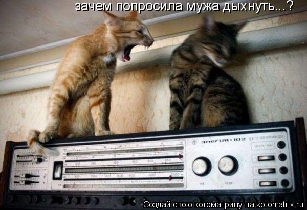зачем попросила мужа дыхнуть...?... Котоматрица: зачем попросила мужа дыхнуть...?