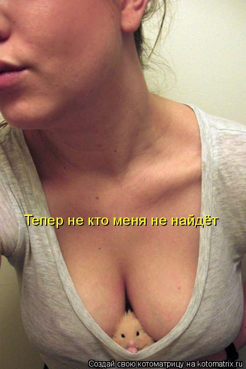 Тепер не кто меня не найдёт... Котоматрица: Тепер не кто меня не найдёт