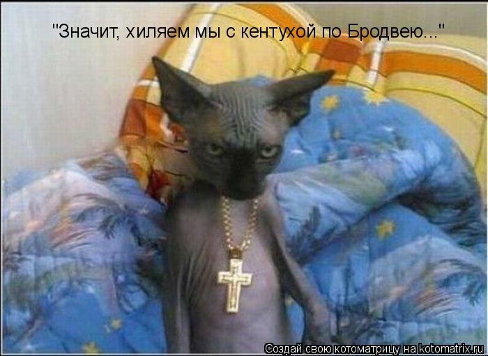 "Значит, хиляем мы с кентухой по Бродвею..."... Котоматрица: "Значит, хиляем мы с кентухой по Бродвею..."