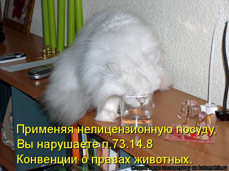 Применяя нелицензионную посуду, Вы нарушаете п.73.14.8 Конвенции о правах животных.... Котоматрица: Применяя нелицензионную посуду, Вы нарушаете п.73.14.8 Конвенции о правах животных.
