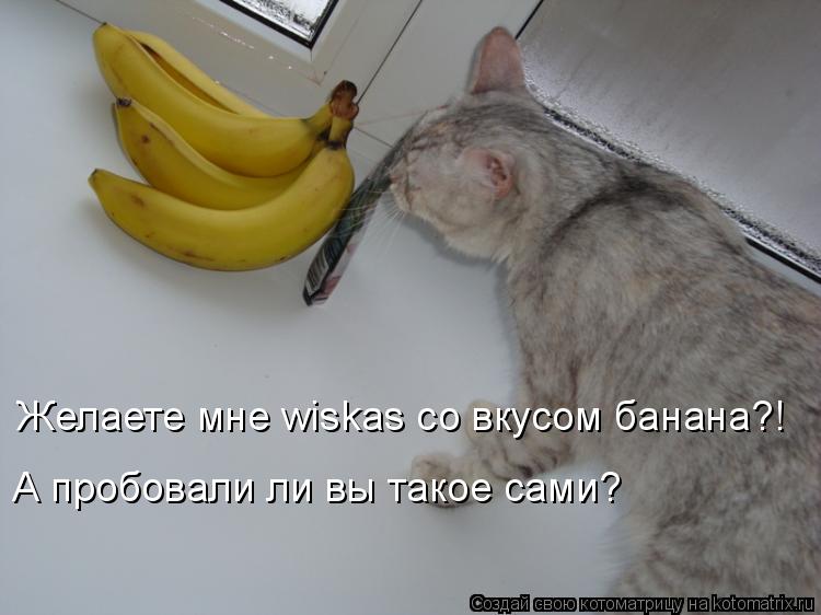 Желаете мне wiskas со вкусом банана?! А пробовали ли вы такое сами?... Котоматрица: Желаете мне wiskas со вкусом банана?! А пробовали ли вы такое сами?