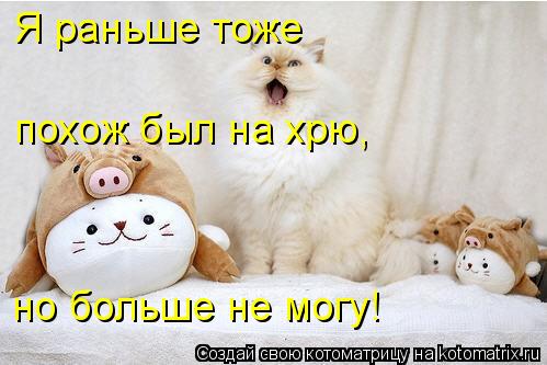 Я раньше тоже похож был на хрю, но больше не могу!... Котоматрица: Я раньше тоже похож был на хрю, но больше не могу!
