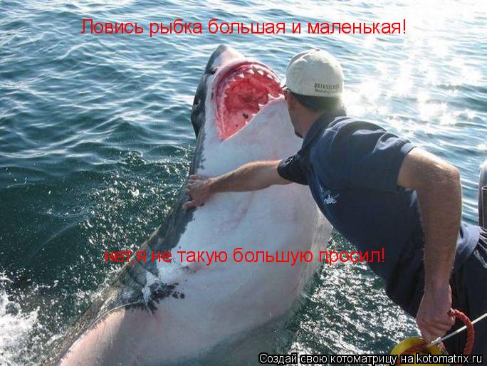 Ловись рыбка большая и маленькая! нет,я не такую большую просил!... Котоматрица: Ловись рыбка большая и маленькая! нет,я не такую большую просил!