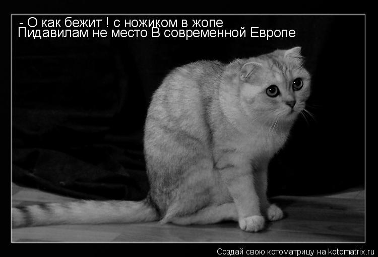 - О как бежит ! с ножиком в жопе Пидавилам не место В современной Европе... Котоматрица: - О как бежит ! с ножиком в жопе Пидавилам не место В современной Европе