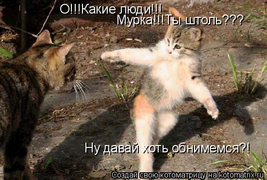 О!!!Какие люди!!! Мурка!!!Ты штоль??? Ну давай хоть обнимемся?!... Котоматрица: О!!!Какие люди!!! Мурка!!!Ты штоль??? Ну давай хоть обнимемся?!