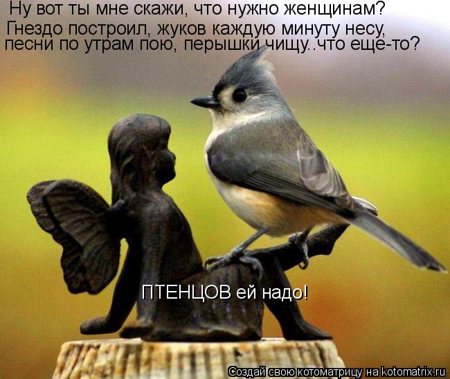 Ну вот ты мне скажи, что нужно женщинам? Гнездо построил, жуков каждую минуту несу, песни по утрам по... Котоматрица: Ну вот ты мне скажи, что нужно женщинам? Гнездо построил, жуков каждую минуту несу, песни по утрам пою, перышки чищу..что еще-то? ПТЕНЦОВ ей на