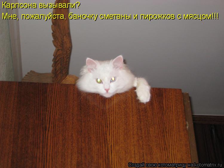 Мне, пожалуйста, баночку сметаны и пирожков с мясцом!!! Карлсона вызывали?... Котоматрица: Мне, пожалуйста, баночку сметаны и пирожков с мясцом!!! Карлсона вызывали?