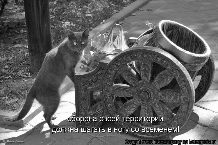 оборона своей территории должна шагать в ногу со временем!... Котоматрица: оборона своей территории должна шагать в ногу со временем!