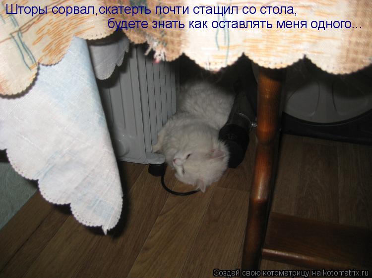 Шторы сорвал, скатерть почти стащил со стола, будете знать как оставлять меня одного...... Котоматрица: Шторы сорвал, скатерть почти стащил со стола, будете знать как оставлять меня одного...
