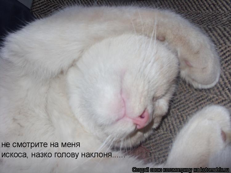 не смотрите на меня искоса, назко голову наклоня......... Котоматрица: не смотрите на меня искоса, назко голову наклоня......