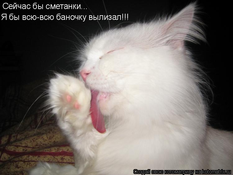 Сейчас бы сметанки... Я бы всю-всю баночку вылизал!!!... Котоматрица: Сейчас бы сметанки... Я бы всю-всю баночку вылизал!!!