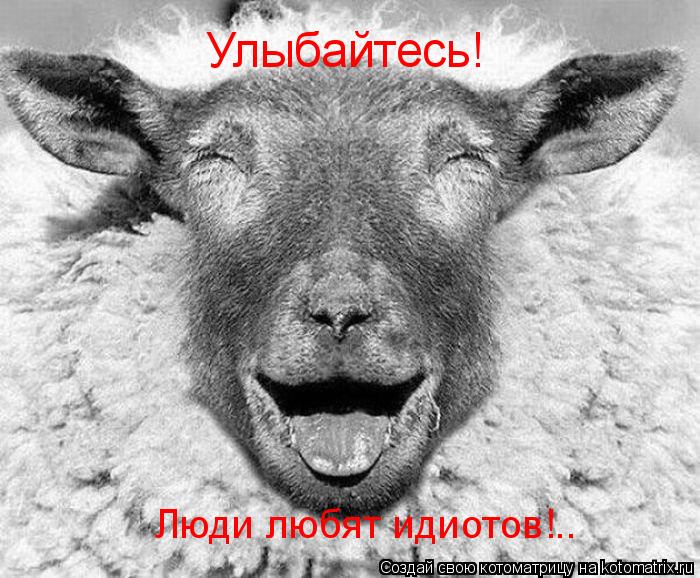 Улыбайтесь! Люди любят идиотов!..... Котоматрица: Улыбайтесь! Люди любят идиотов!..