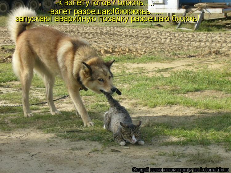 -к взлёту готов? бжжжь..... -взлёт разрешаю!бжжжжьь...... запускаю! аварийную посадку разрешаю бжжжь!... Котоматрица: -к взлёту готов? бжжжь..... -взлёт разрешаю!бжжжжьь...... запускаю! аварийную посадку разрешаю бжжжь!